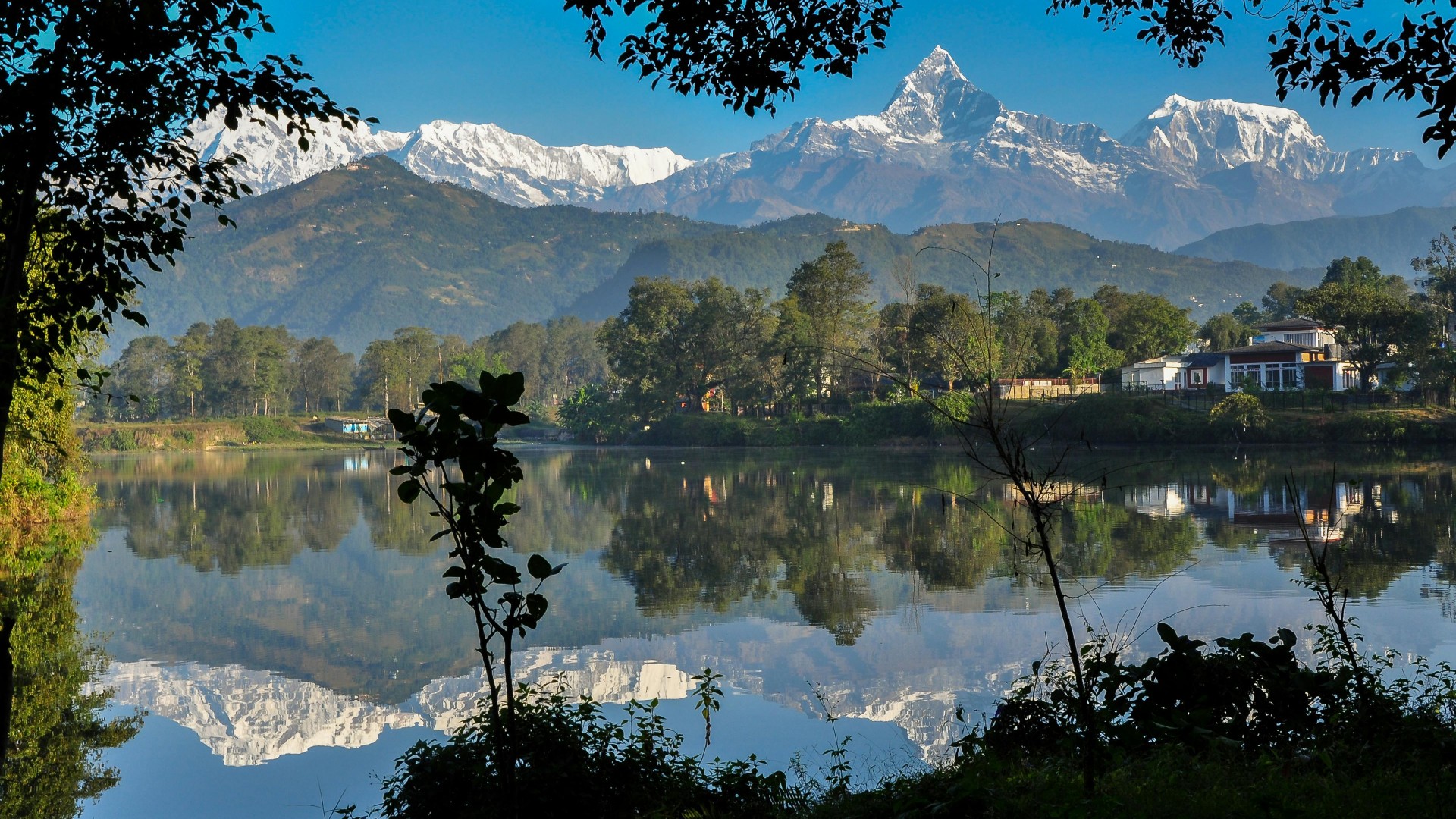 Annapurna Birdwatching Trip