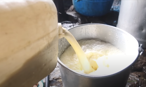  Numbur Cheese Circuit Trek