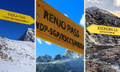  Everest 3 Peak 3 Passes Trekking