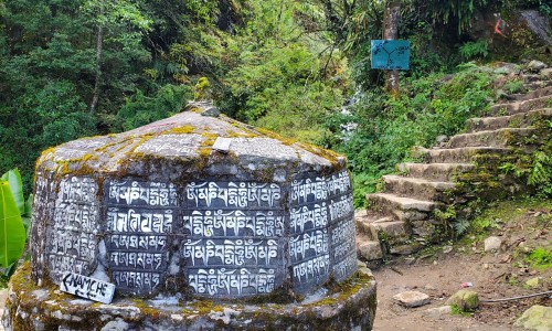  Arun Valley & Salpa 3550m Pass Trek
