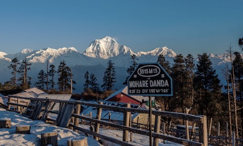  Mohare 3300m (Danda) Hill Trek