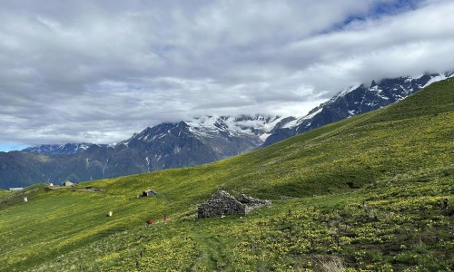  Kori 3800m Trek