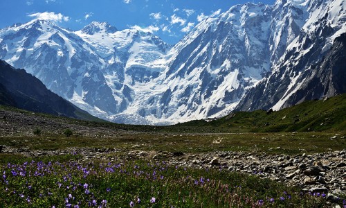  Nanga Parbat 8126m Climbing Expedition