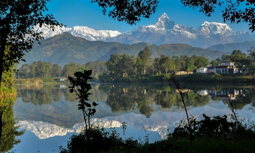  Annapurna Birdwatching Trip